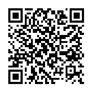 PerfectAmino QR Code